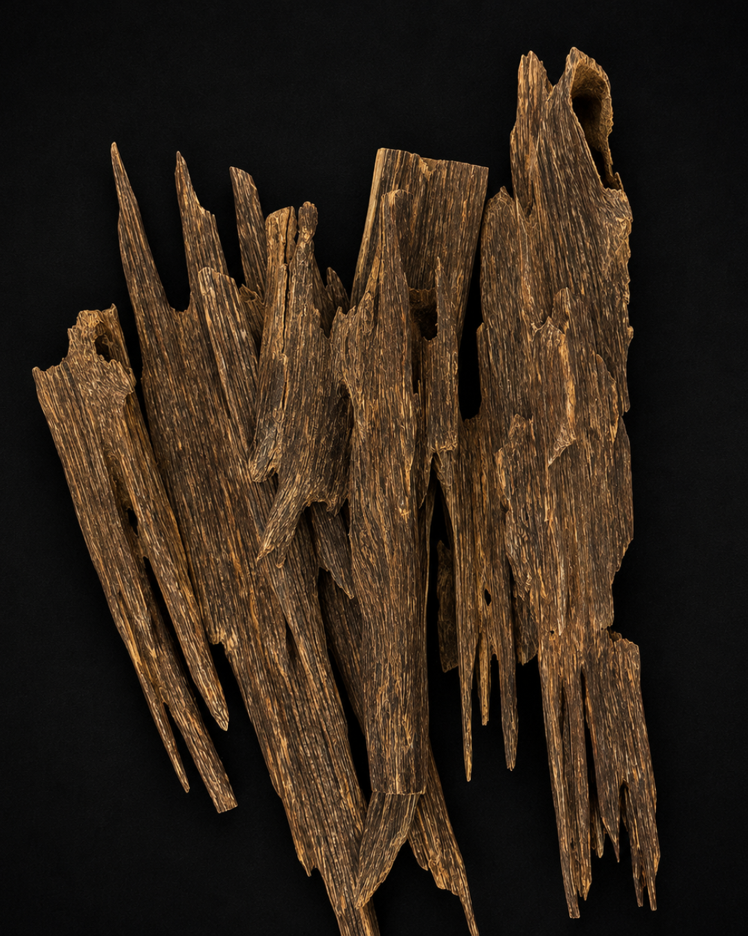 Hindi Zora Oud